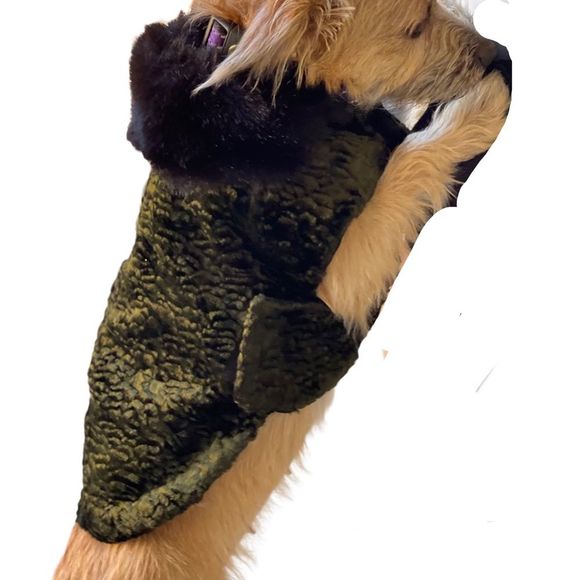 Fancy Custom Made Dog Coat- Small - Picture 3 of 12